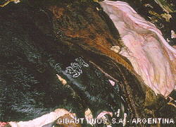 Recepción de cueros